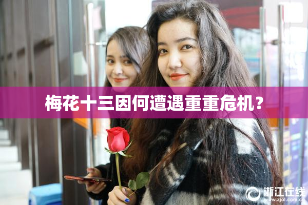 梅花十三因何遭遇重重危机？