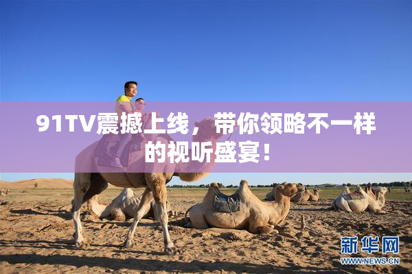 91TV震撼上线，带你领略不一样的视听盛宴！