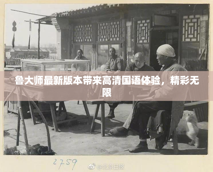 鲁大师最新版本带来高清国语体验，精彩无限