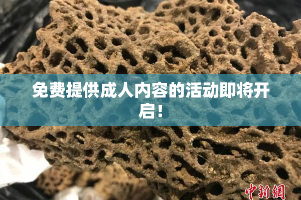 免费提供成人内容的活动即将开启！