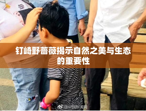 钉崎野蔷薇揭示自然之美与生态的重要性