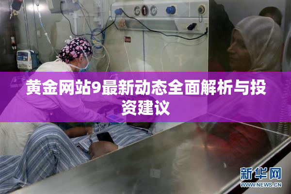 黄金网站9最新动态全面解析与投资建议