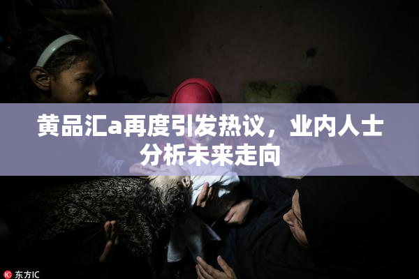 黄品汇a再度引发热议，业内人士分析未来走向