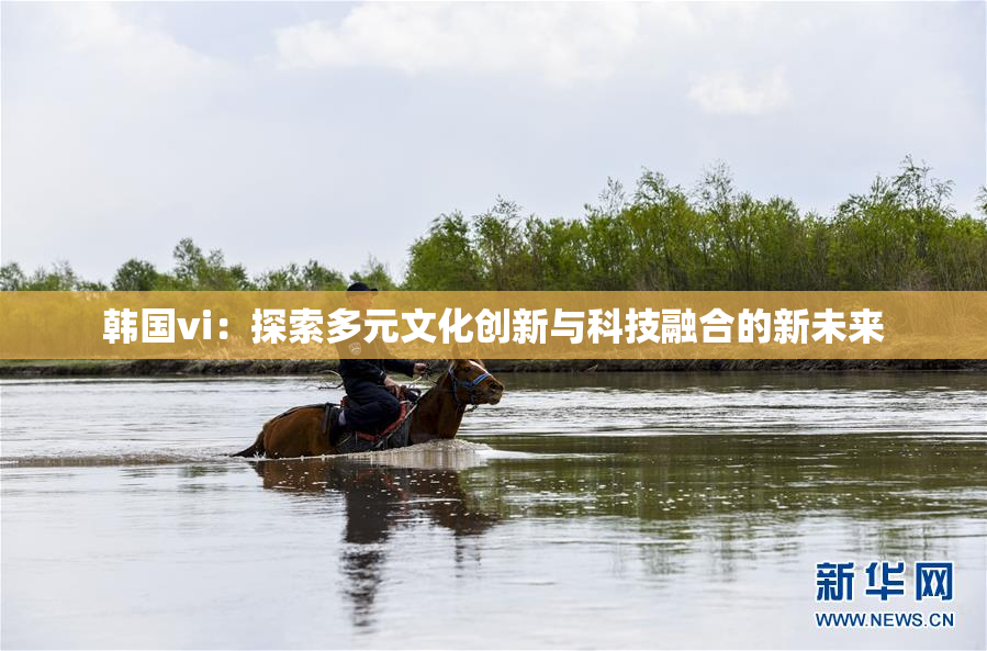 韩国vi：探索多元文化创新与科技融合的新未来