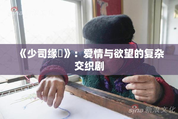 《少司缘婬》：爱情与欲望的复杂交织剧