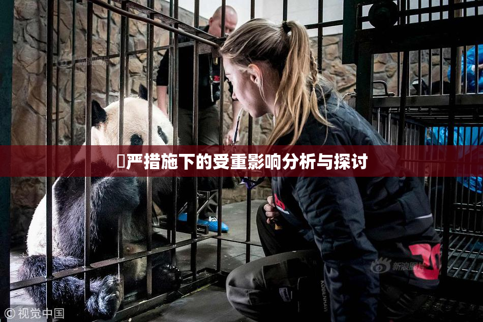囯严措施下的受重影响分析与探讨