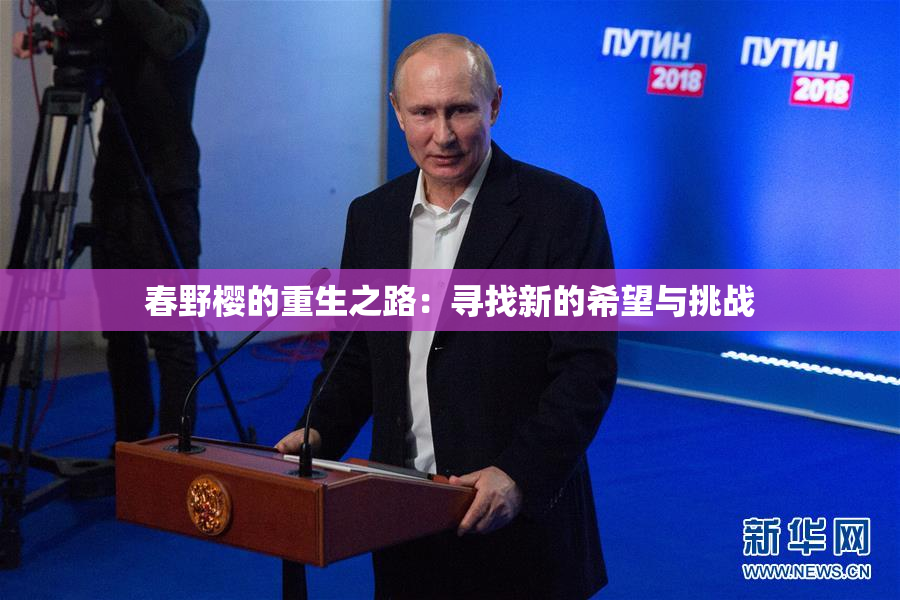 春野樱的重生之路：寻找新的希望与挑战