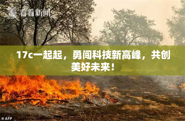 17c一起起，勇闯科技新高峰，共创美好未来！