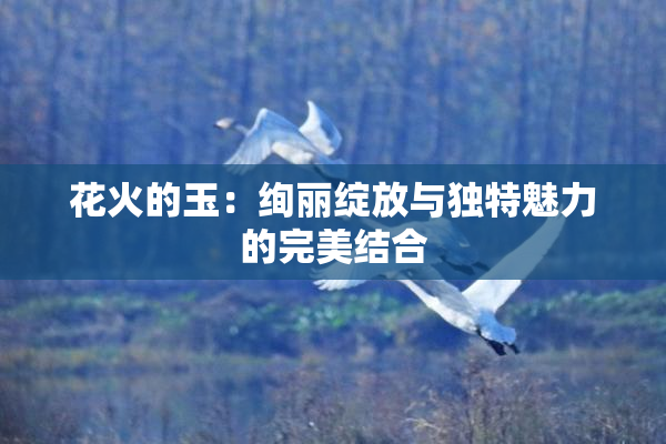 花火的玉：绚丽绽放与独特魅力的完美结合