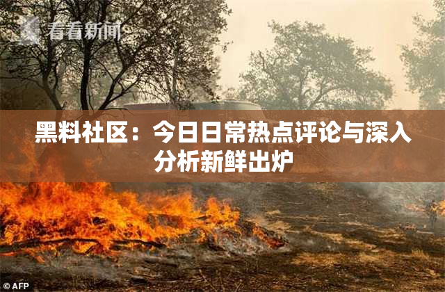 黑料社区：今日日常热点评论与深入分析新鲜出炉