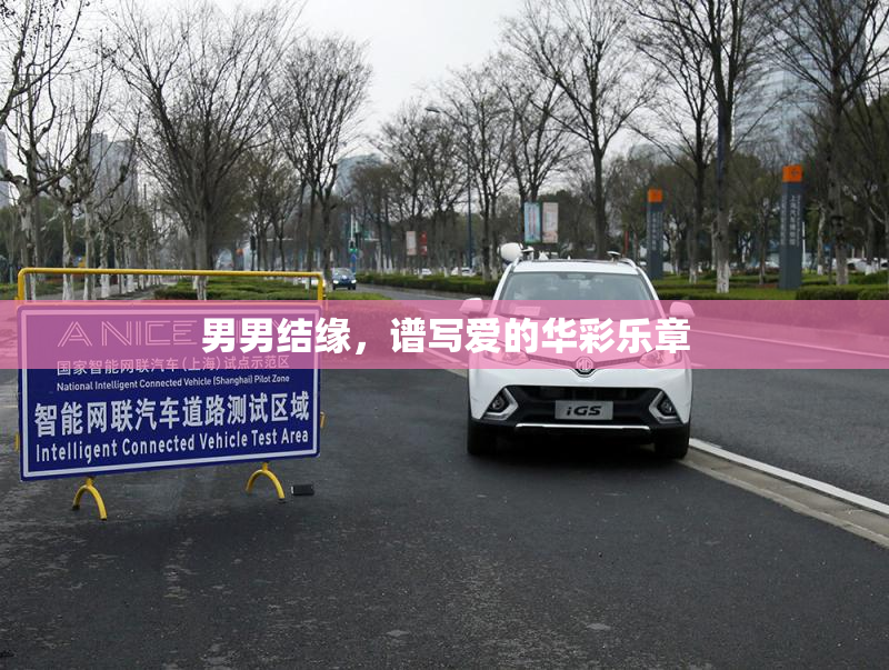男男结缘，谱写爱的华彩乐章