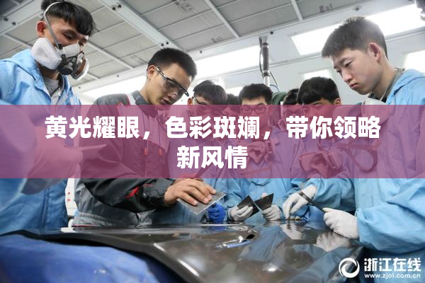 黄光耀眼，色彩斑斓，带你领略新风情