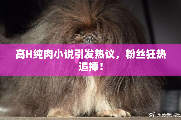 高H纯肉小说引发热议，粉丝狂热追捧！
