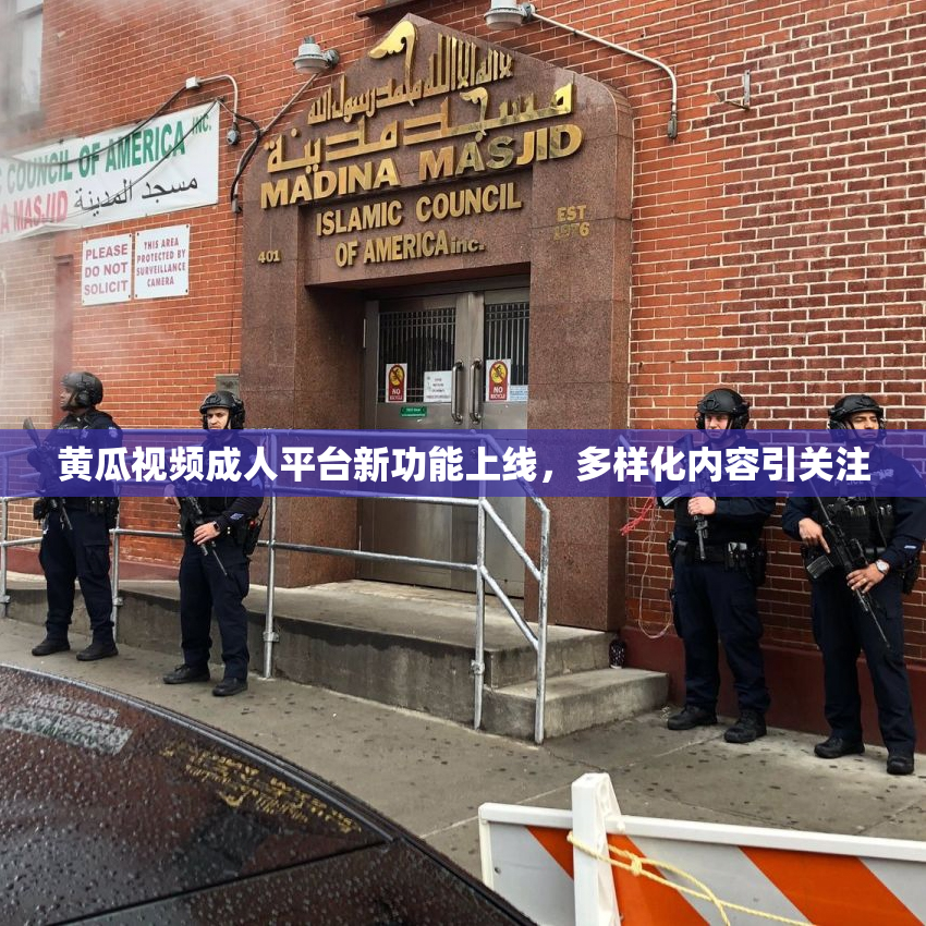 黄瓜视频成人平台新功能上线，多样化内容引关注