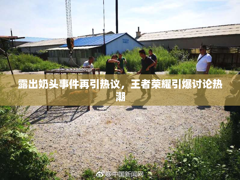 露出奶头事件再引热议，王者荣耀引爆讨论热潮
