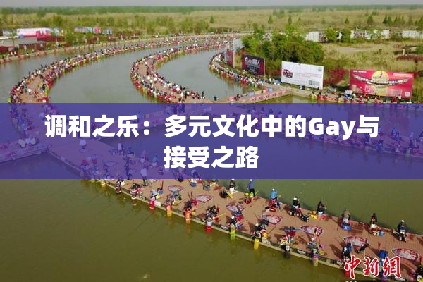 调和之乐：多元文化中的Gay与接受之路