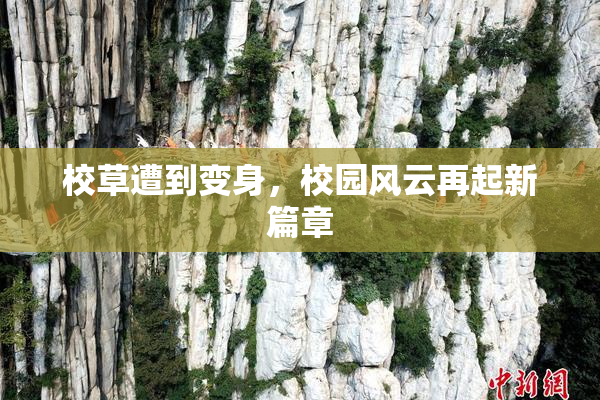 校草遭到变身，校园风云再起新篇章