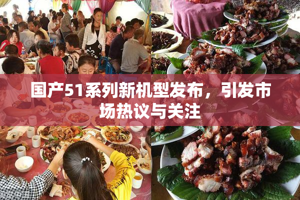 国产51系列新机型发布，引发市场热议与关注