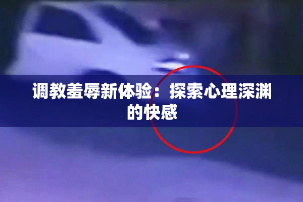 调教羞辱新体验：探索心理深渊的快感