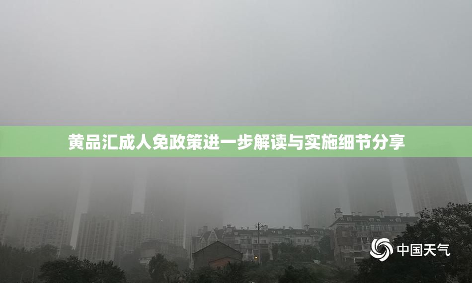 黄品汇成人免政策进一步解读与实施细节分享