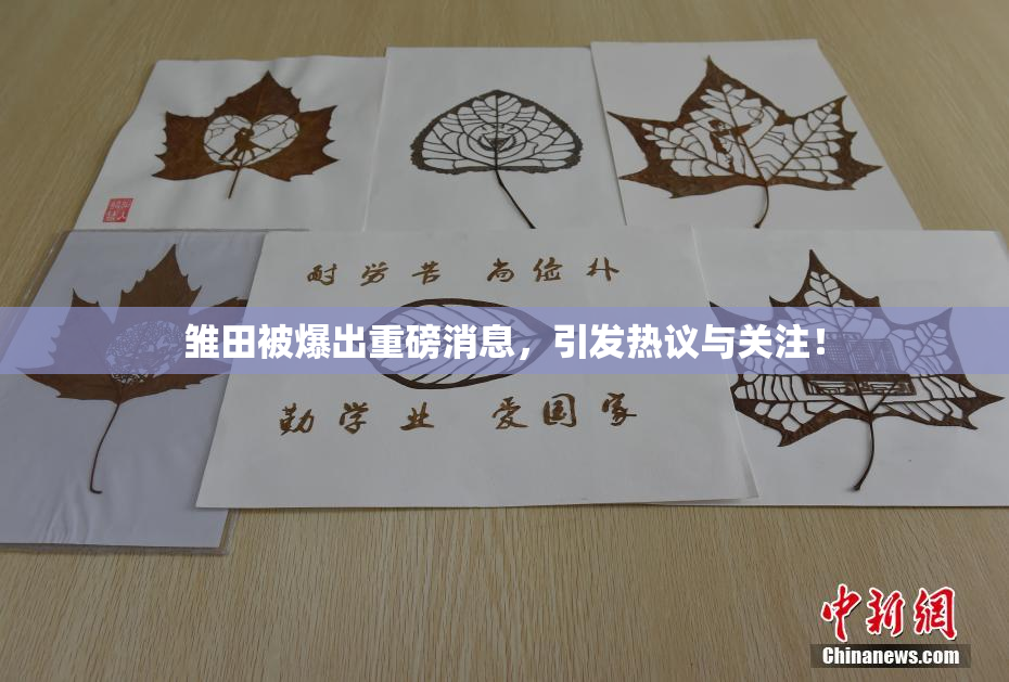 雏田被爆出重磅消息，引发热议与关注！