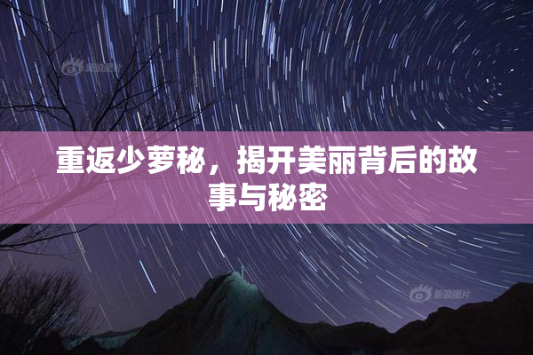 重返少萝秘，揭开美丽背后的故事与秘密