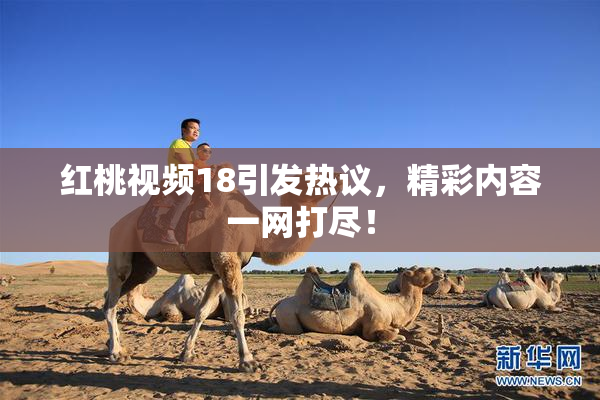 红桃视频18引发热议，精彩内容一网打尽！