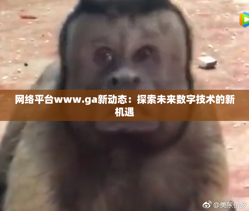 网络平台www.ga新动态：探索未来数字技术的新机遇