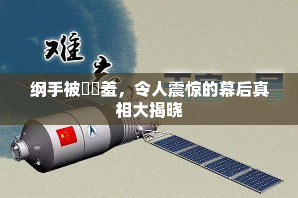 纲手被❌‌羞，令人震惊的幕后真相大揭晓