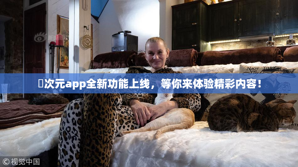 囧次元app全新功能上线，等你来体验精彩内容！