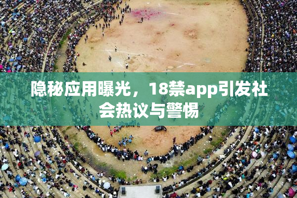 隐秘应用曝光，18禁app引发社会热议与警惕