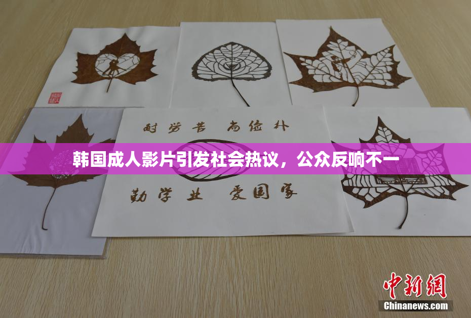 韩国成人影片引发社会热议，公众反响不一