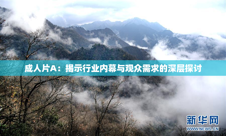 成人片A：揭示行业内幕与观众需求的深层探讨
