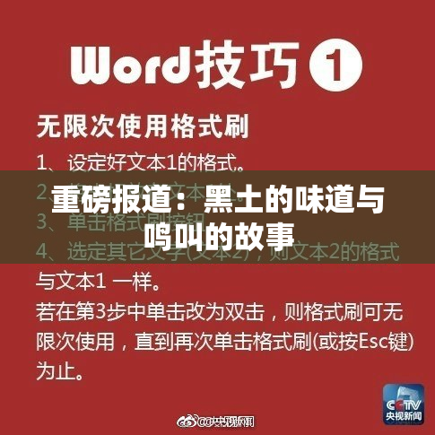 重磅报道：黑土的味道与鸣叫的故事