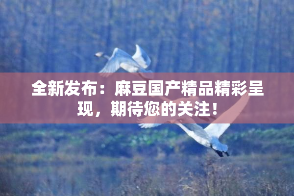 全新发布：麻豆国产精品精彩呈现，期待您的关注！