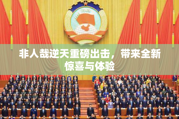 非人哉逆天重磅出击，带来全新惊喜与体验
