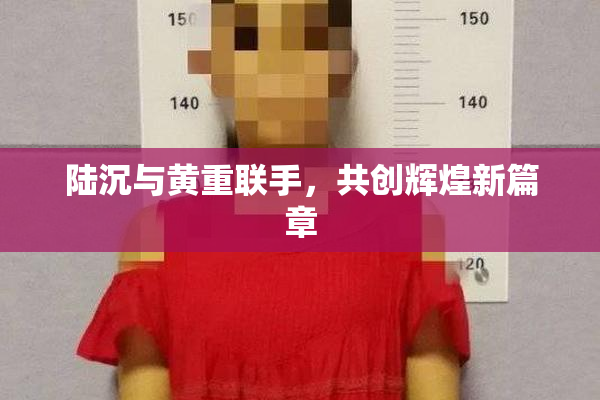 陆沉与黄重联手，共创辉煌新篇章