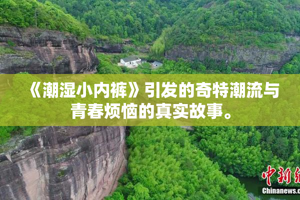 《潮湿小内裤》引发的奇特潮流与青春烦恼的真实故事。