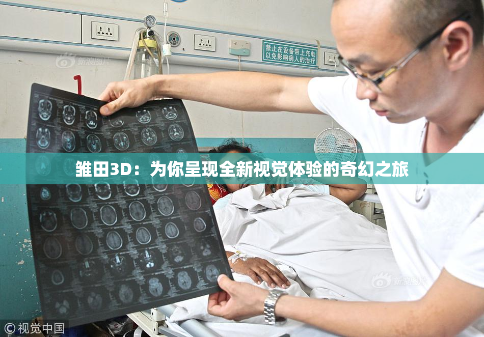 雏田3D：为你呈现全新视觉体验的奇幻之旅