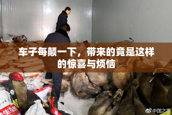 车子每颠一下，带来的竟是这样的惊喜与烦恼