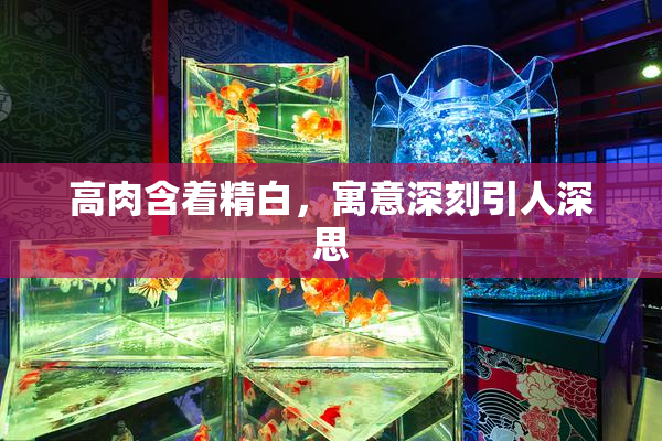 高肉含着精白，寓意深刻引人深思