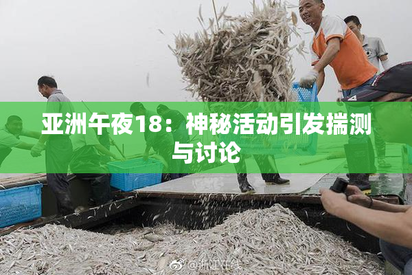 亚洲午夜18：神秘活动引发揣测与讨论