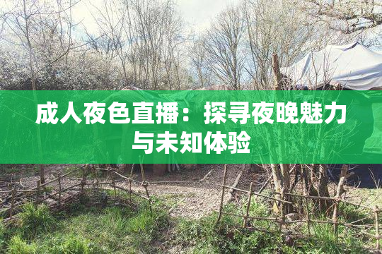 成人夜色直播：探寻夜晚魅力与未知体验