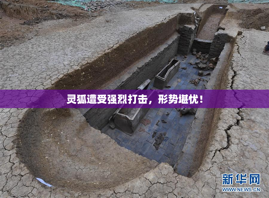 灵狐遭受强烈打击，形势堪忧！