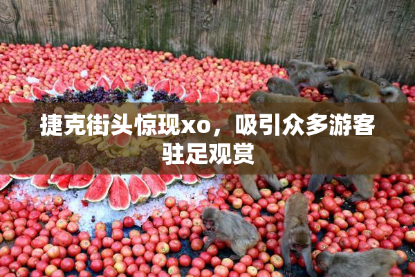 捷克街头惊现xo，吸引众多游客驻足观赏