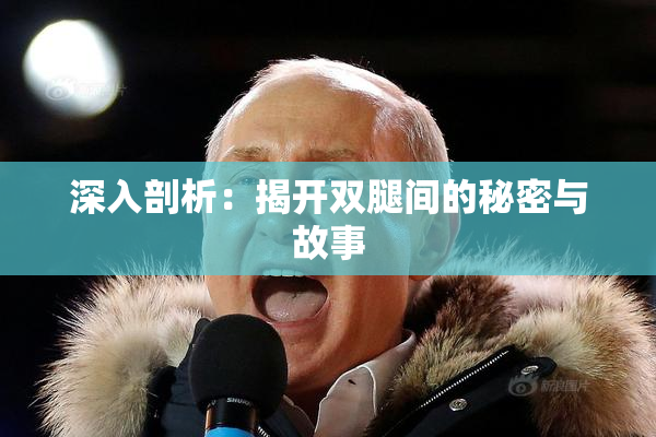 深入剖析：揭开双腿间的秘密与故事