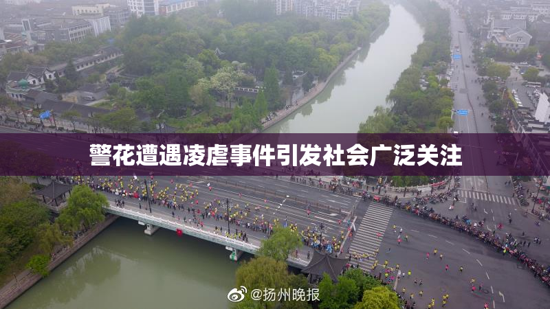 警花遭遇凌虐事件引发社会广泛关注
