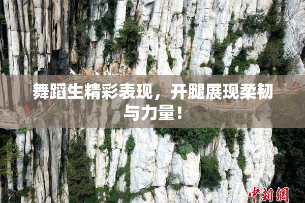 舞蹈生精彩表现，开腿展现柔韧与力量！