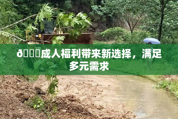 🔞成人福利带来新选择，满足多元需求