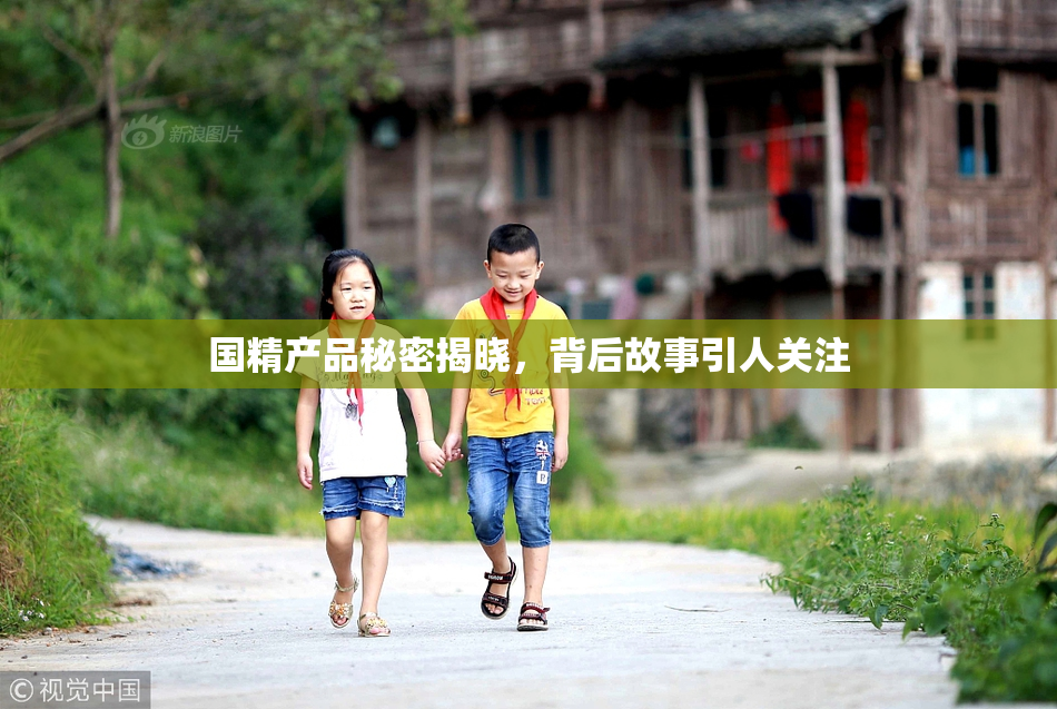 国精产品秘密揭晓，背后故事引人关注